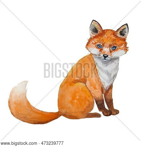 Cute Watercolor Fox, Illustration For Advertising, For Stickers, For Children's Room, Invitations. H