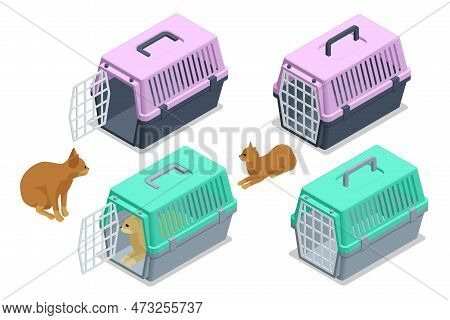 Isometric Cat In A Soft Carrier On The Floor . Cat Carrier With The Open And Closed Door.