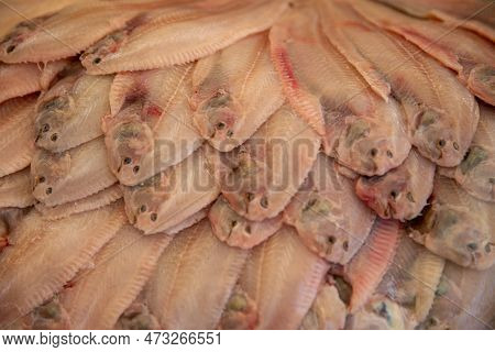 Flounders In A Pile For Sale At The Market