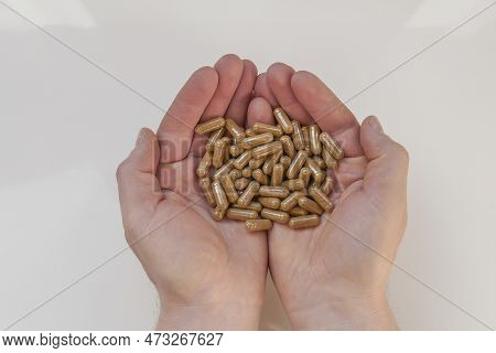 Guarana Capsules In Male Hands . Natural Tonic.alternative Medicine And Homeopathy.supplements And V