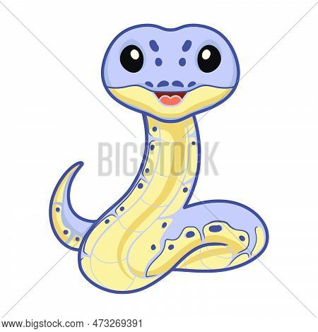 Vector Illustration Of Cute Killer Clown Ball Python Cartoon