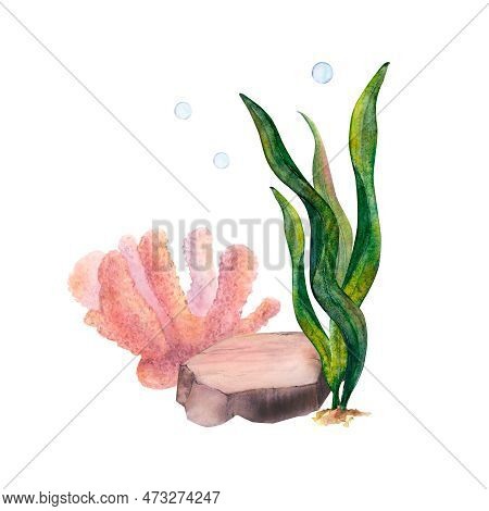 Watercolor Drawn Set Of Coral, Ribbon Algae, Bottom Stone And Air Bubbles On White Background. Under