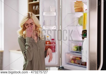 Rotten Food Bad Smell Or Stink In Refrigerator Or Fridge