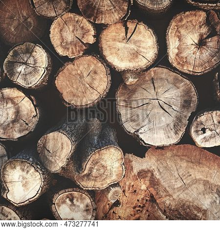 Decorative Wall Made Of Logs. Firewood For Heating Is Stacked Like A Background. Wooden Energy Sourc