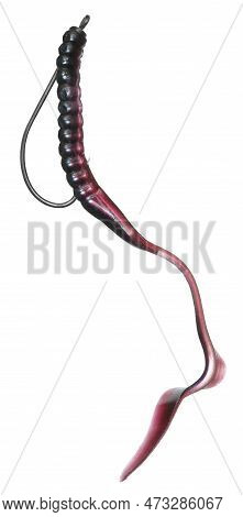 Black And Purple Rubber Fishing Worm Rigged Up With A Hook To Be Fished Weedless