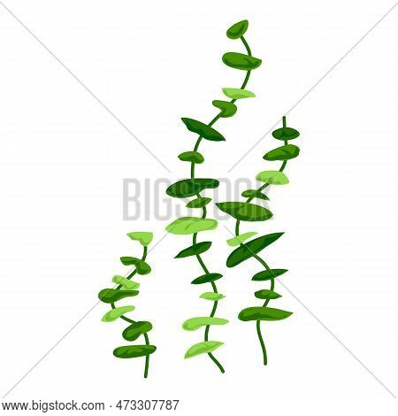 Aquarium Long Plants Icon. Cartoon Of Aquarium Long Plants Icon For Web Design Isolated On White Bac