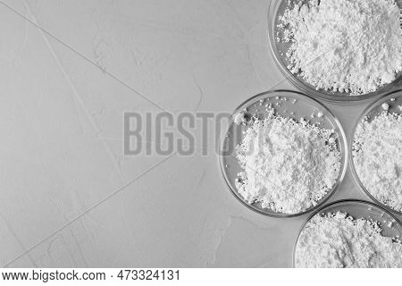 Petri Dishes With Calcium Carbonate Powder On Grey Table, Flat Lay. Space For Text