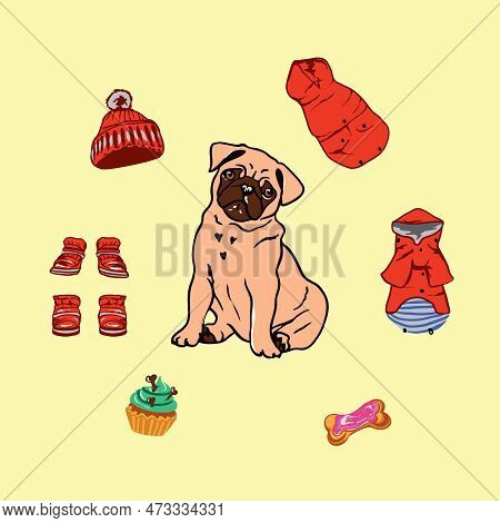 Pug With Clothes, Boots, Hat And Snacks. Clothes For Dogs, Accessories, Hat, Boots. Vector Pug.