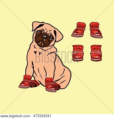 Pug With Red Boots. Clothes For Dogs, Accessories, Hat, Boots. Vector Dog.