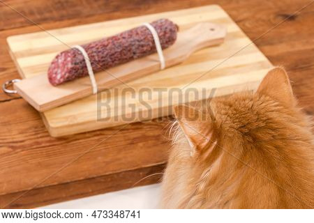 Head Of Fluffy Ginger Cat Which Looking To Cured-smoked Sausage On Cutting Board On The Old Rustic T
