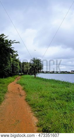 Portrait Scenic Beautiful Lush Green Cover Walking Lane Lake View In Btm Or Madiwala.