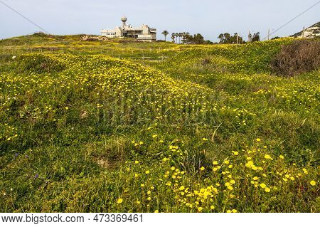 Haifa, Israel March 11 2023: Israel Oceanographic And Limnological Research (iolr). National Researc