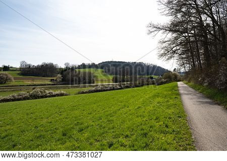 Evergreen Nature With A Way Summer Background Scene