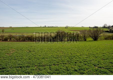 Warm Landscape Beautiful Season Sunny Wilderness Woodland
