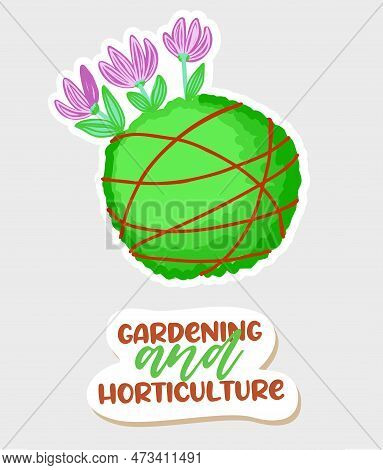 Flowers In A Ball Of Moss. Spring Composition. Floristry. Easter Clipart