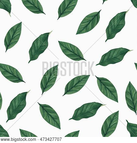 Watercolor Lemon Leaf Seamless Pattern - Green Leaf On White Backgound. Illustration For Textile, Pr