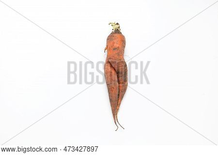 Conjoined Dirty Carrot. Ugly Vegetable. Concept - Food Waste Reduction. Using In Cooking Imperfect P