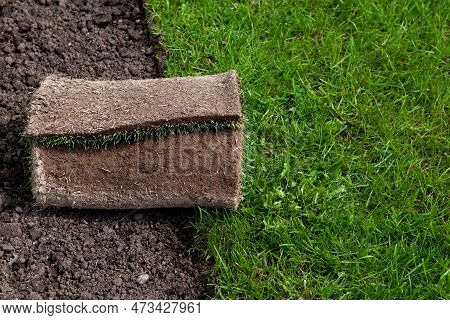 New Meadow. Roll Of Turf Or Turfgrass, Close-up. Landscaping Design, Improvement Of Territory.