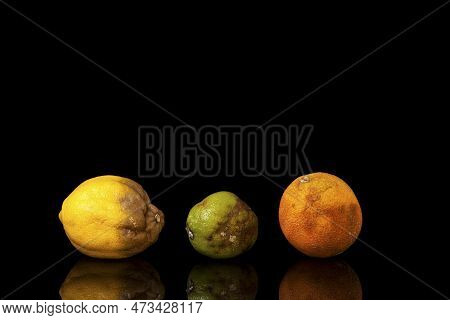 Rotten Citrus Fruits. Incorrect Storage. Spoiled Fruits In A Row On A Black Background. Lemon. Lime.