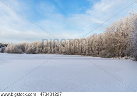 Panorama Of A Frozen Lake On The Background Of A Lem In The Snow. Sunny Winter Day