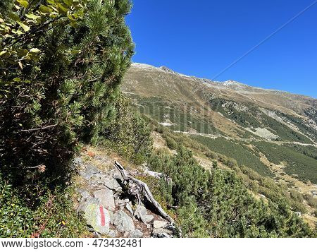 Alpine Mountaineering Signposts And Markings In The Mountainous Area Of The Albula Alps And Above Th
