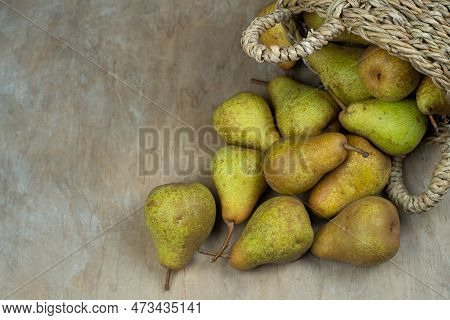 Pears In Basket On A Wooden Background. Fruit Harvest. Autumn Still Life. Pear Variety Bera Conferen