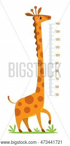 Funny Giraffe. Meter Wall Or Height Chart