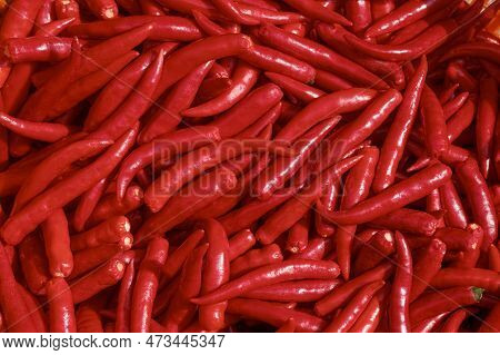 Background Of Many Chili Spur Peppers Without Green Stem, Top View Of Long Red Peppers Pile