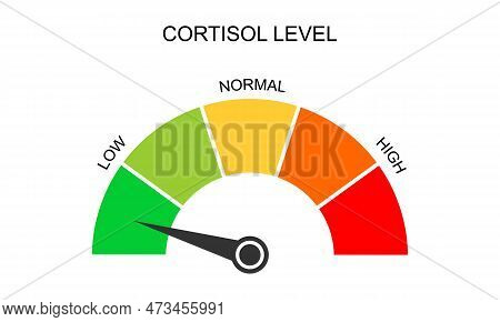 Cortisol Meter Gauge. Body Stress Response Levels. Round Chart With Arrow From Low To High Isolated 