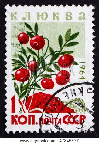 切手ロシア 1964年のヨーロッパのクランベリー