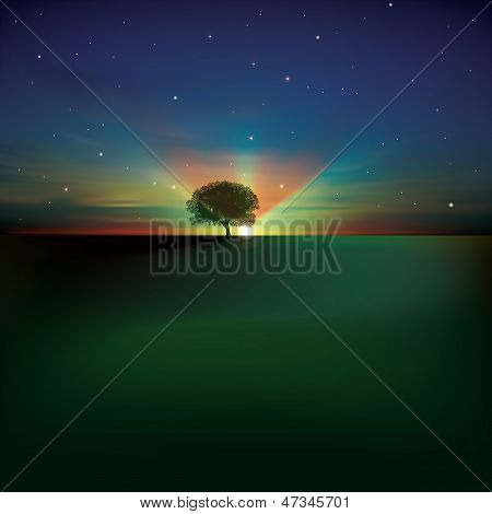 Abstraktní pozadí s mraky strom a Sunrise