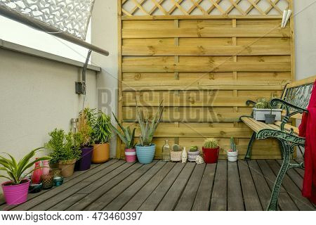 Plants, Cactus, Colored Candles, Decorative Objects, Wooden Latticework, Wooden Bench And Terrace Fl
