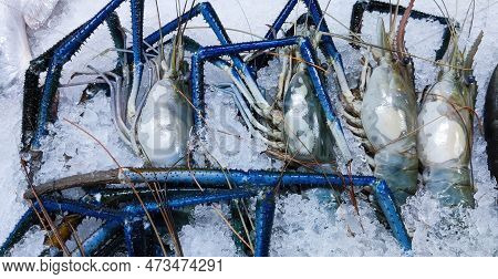 Giant Raw River Prawn On The Ice Close-up Photo. Freshwater Prawn In A Fish Market. Close-up Photo O