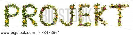 Colorful Blooming Flower Letters Building Word Projekt Means Project