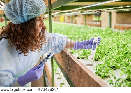 Smiling Female Gardener In Disposable Cap Holding Clipboard And Water Conductivity Meter While Stand