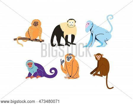 Set Of Cute Monkeys. Vector Illustration In Flat Style. Isolated On White Background.