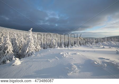 Winter woods forest sunrise morning Nature landscape Nature background landscape Nature snow Nature background landscape Nature background landscape Nature landscape Nature background trees Nature landscape Nature background landscape Nature landscape.