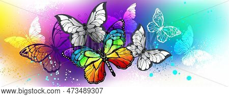 Profile Title With Rainbow Butterfly And Gray, Artistically Drawn, Realistic Butterflies On Rainbow 