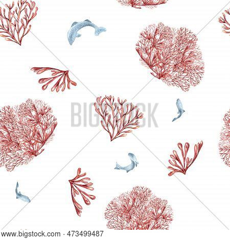 Seamless Pattern Of Sea Plants, Coral Watercolor Isolated On White Background. Pink Agar Agar Seawee