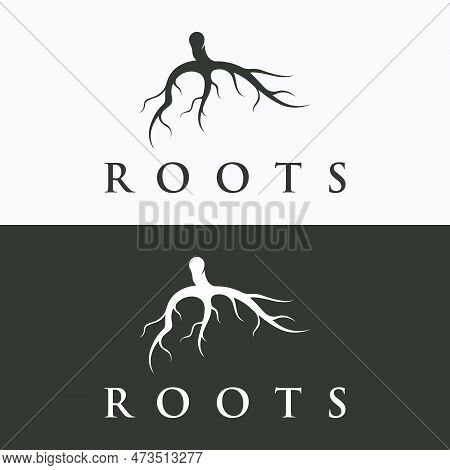 Single And Fibrous Tree Root Natural Abstract Logo Creative Template Design.