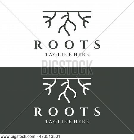 Single And Fibrous Tree Root Natural Abstract Logo Creative Template Design.