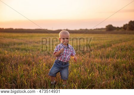 Close Up Portrait Of Little Boy In Plaid Shirt. Todder With Emotions Eats Spikelet Of Wheat