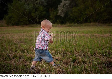 Little Boy In Cage Shirt Hugs Soft Toy. Todder With Emotions Walks In Mowing Green-yellow Field