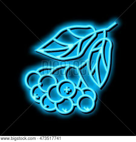 Chokeberry Berry Branch Neon Light Sign Vector. Chokeberry Berry Branch Illustration