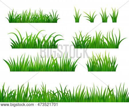 Set Detailed Fresh Green Grass Meadow Border. Spring Or Summer Plant Field Lawn. Grass Background. V