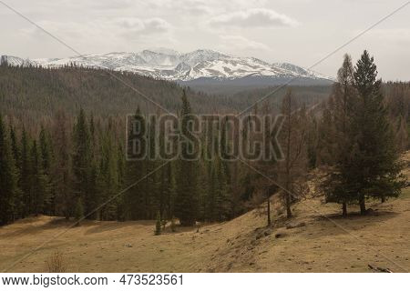 A Country Road In The Mountains.gorny Altai, Russia
