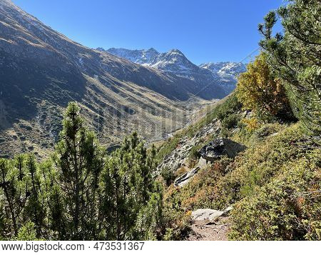 Beautiful Autumn Panorama Of The Alpine Valley Val Grialetsch And The Stream Aua Da Grialetsch In Th