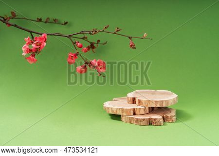 Composition Empty Podium Material Tree And Spring Flowers. Empty Background Composition For Cosmetic