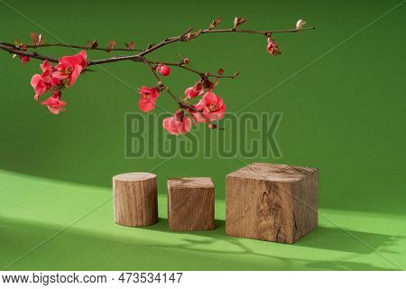 Composition Empty Podium Material Tree And Spring Flowers. Empty Background Composition For Cosmetic