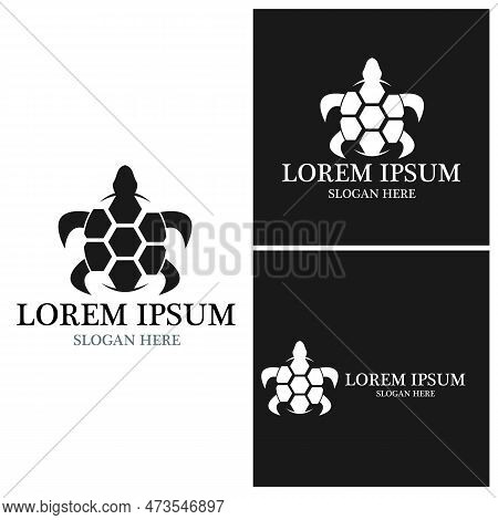 Turtle Animal Cartoon Icon